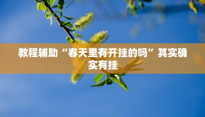 教程辅助“春天里有开挂的吗”其实确实有挂 教程辅助“春天里有开挂的吗”其实确实有挂