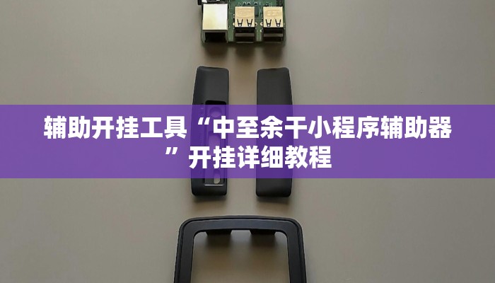 辅助开挂工具“中至余干小程序辅助器”开挂详细教程