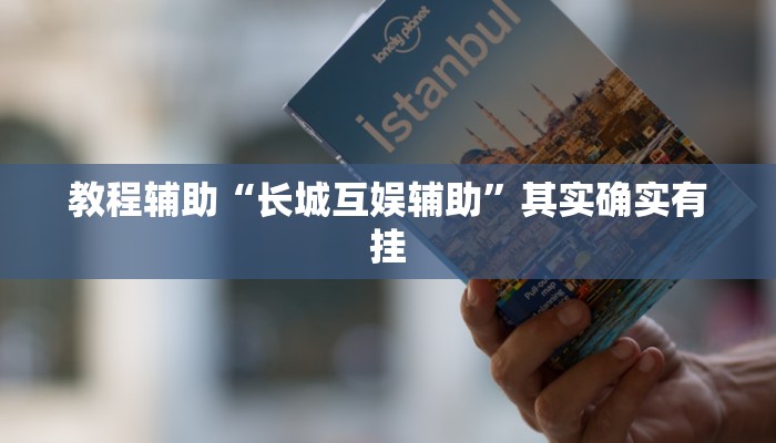 教程辅助“长城互娱辅助”其实确实有挂