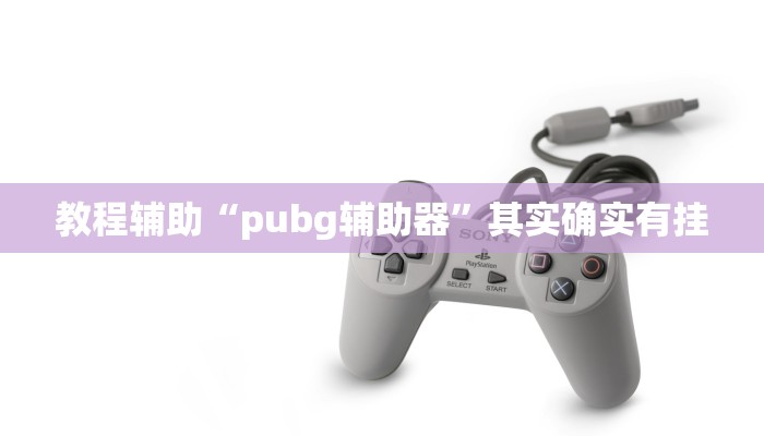 教程辅助“pubg辅助器”其实确实有挂 教程辅助“pubg辅助器”其实确实有挂