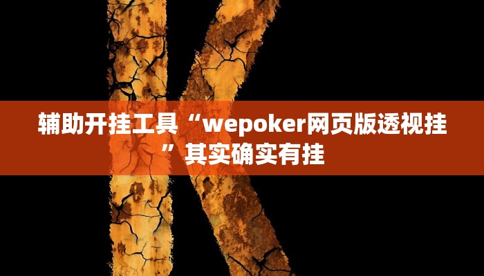 辅助开挂工具“wepoker网页版透视挂”其实确实有挂