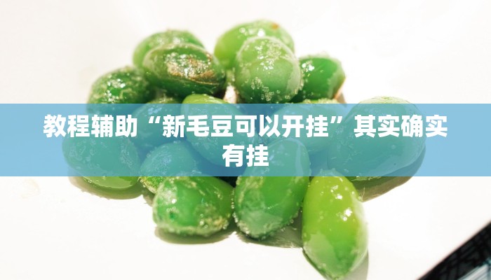 教程辅助“新毛豆可以开挂”其实确实有挂 教程辅助“新毛豆可以开挂”其实确实有挂