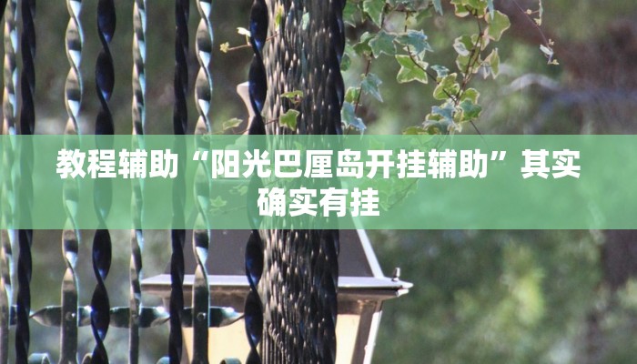 教程辅助“阳光巴厘岛开挂辅助”其实确实有挂