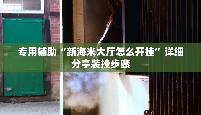 专用辅助“新海米大厅怎么开挂”详细分享装挂步骤