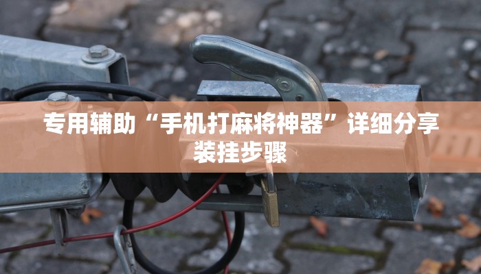 专用辅助“手机打麻将神器”详细分享装挂步骤