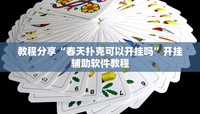 教程分享“春天扑克可以开挂吗”开挂辅助软件教程