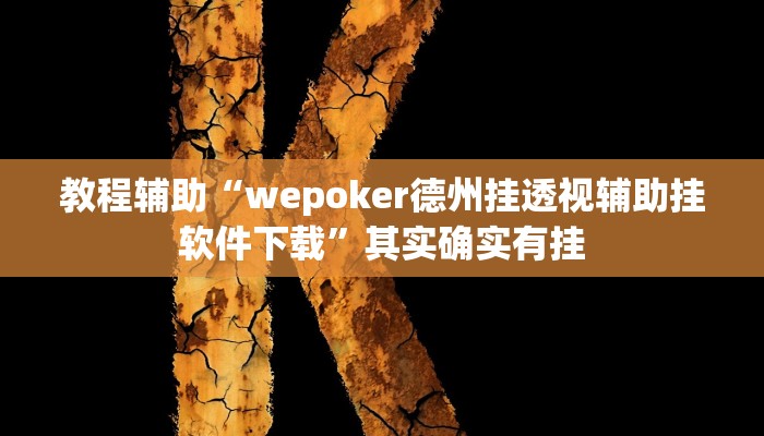教程辅助“wepoker德州挂透视辅助挂软件下载”其实确实有挂