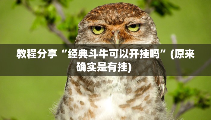 教程分享“经典斗牛可以开挂吗”(原来确实是有挂) 