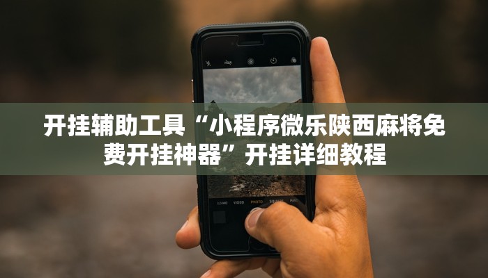 开挂辅助工具“小程序微乐陕西麻将免费开挂神器”开挂详细教程