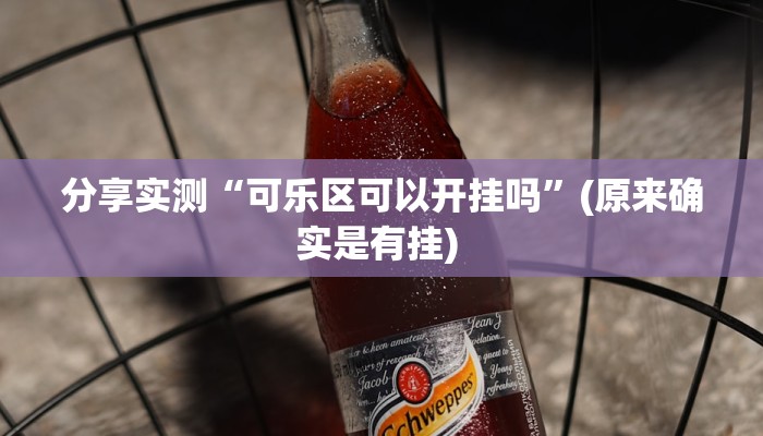 分享实测“可乐区可以开挂吗”(原来确实是有挂) 