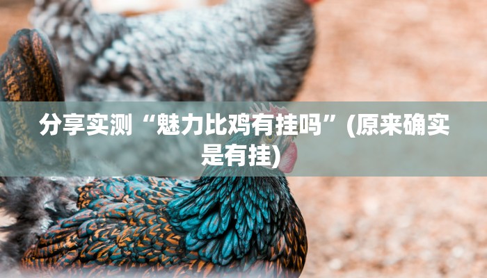 分享实测“魅力比鸡有挂吗”(原来确实是有挂) 