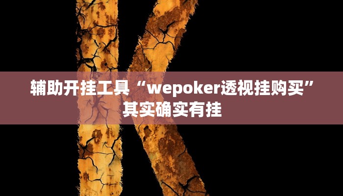 辅助开挂工具“wepoker透视挂购买”其实确实有挂 辅助开挂工具“wepoker透视挂购买”其实确实有挂