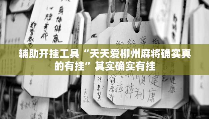 辅助开挂工具“天天爱柳州麻将确实真的有挂”其实确实有挂