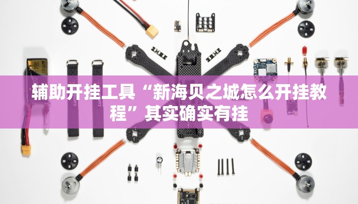 辅助开挂工具“新海贝之城怎么开挂教程”其实确实有挂