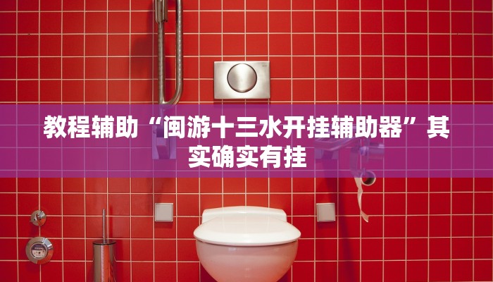 教程辅助“闽游十三水开挂辅助器”其实确实有挂