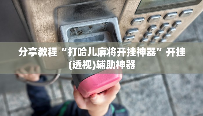 分享教程“打哈儿麻将开挂神器”开挂(透视)辅助神器 分享教程“打哈儿麻将开挂神器”开挂(透视)辅助神器