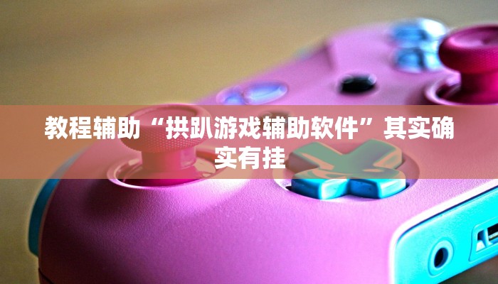 教程辅助“拱趴游戏辅助软件”其实确实有挂 教程辅助“拱趴游戏辅助软件”其实确实有挂