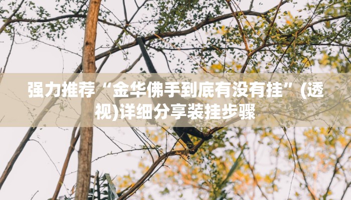 强力推荐“金华佛手到底有没有挂”(透视)详细分享装挂步骤