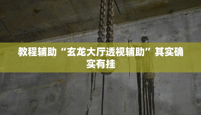 教程辅助“玄龙大厅透视辅助”其实确实有挂