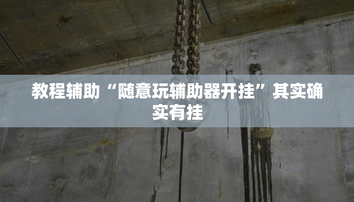 教程辅助“随意玩辅助器开挂”其实确实有挂