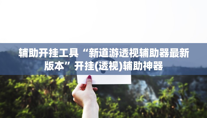 辅助开挂工具“新道游透视辅助器最新版本”开挂(透视)辅助神器