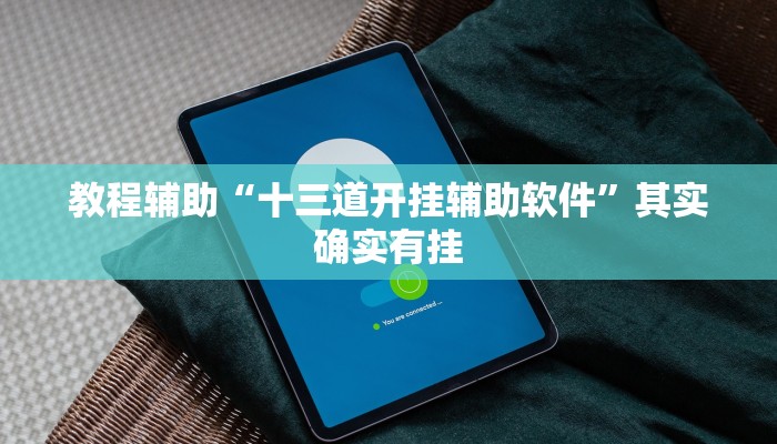 教程辅助“十三道开挂辅助软件”其实确实有挂 教程辅助“十三道开挂辅助软件”其实确实有挂