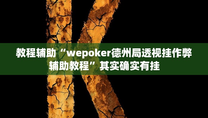 教程辅助“wepoker德州局透视挂作弊辅助教程”其实确实有挂