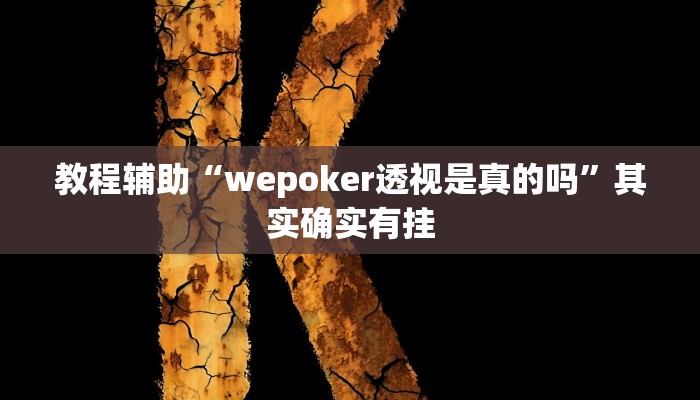 教程辅助“wepoker透视是真的吗”其实确实有挂