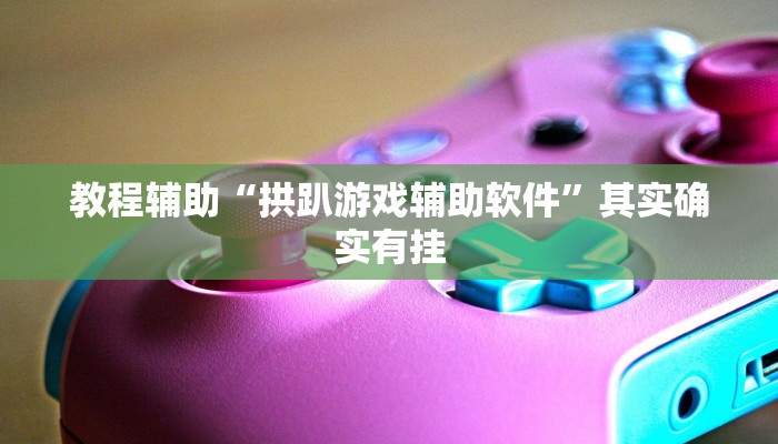 教程辅助“拱趴游戏辅助软件”其实确实有挂