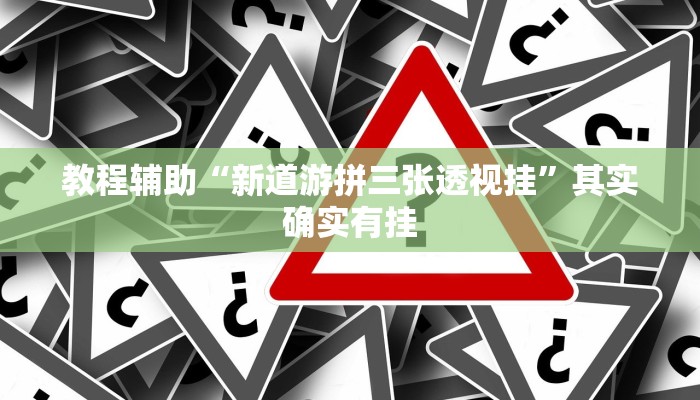 教程辅助“新道游拼三张透视挂”其实确实有挂
