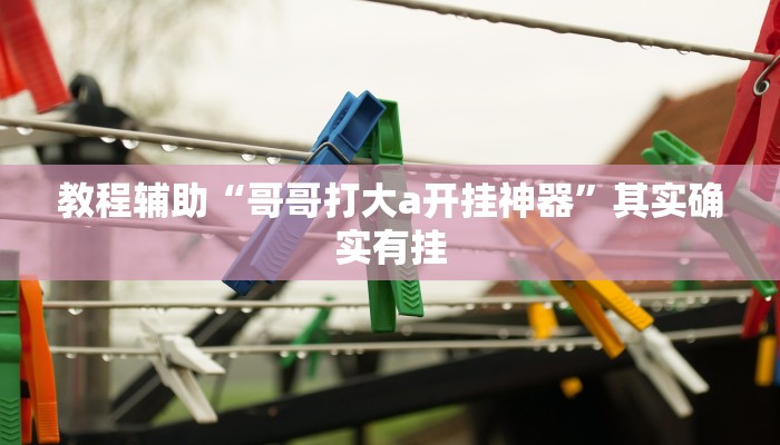 教程辅助“哥哥打大a开挂神器”其实确实有挂