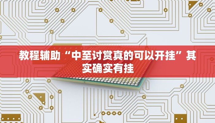 教程辅助“中至讨赏真的可以开挂”其实确实有挂