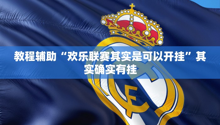 教程辅助“欢乐联赛其实是可以开挂”其实确实有挂