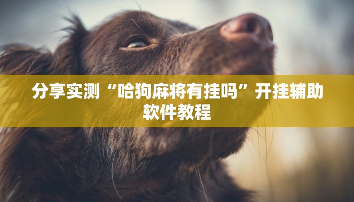 分享实测“哈狗麻将有挂吗”开挂辅助软件教程