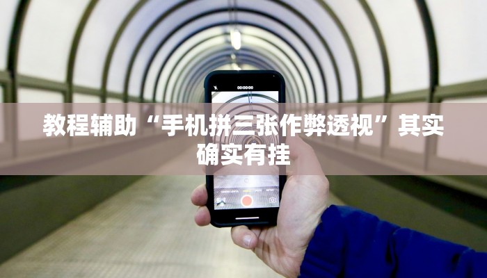 教程辅助“手机拼三张作弊透视”其实确实有挂