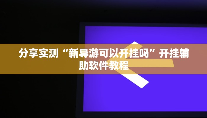 分享实测“新导游可以开挂吗”开挂辅助软件教程