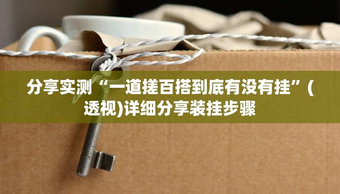分享实测“一道搓百搭到底有没有挂”(透视)详细分享装挂步骤 分享实测“一道搓百搭到底有没有挂”(透视)详细分享装挂步骤