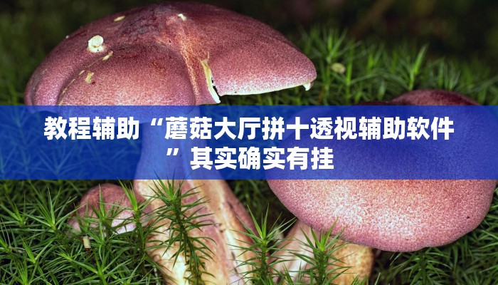 教程辅助“蘑菇大厅拼十透视辅助软件”其实确实有挂