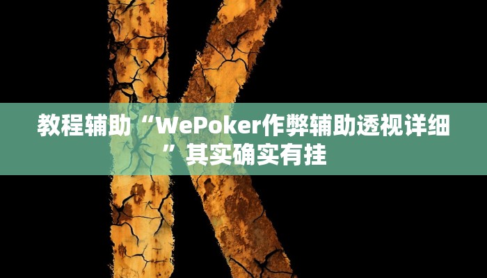 教程辅助“WePoker作弊辅助透视详细”其实确实有挂