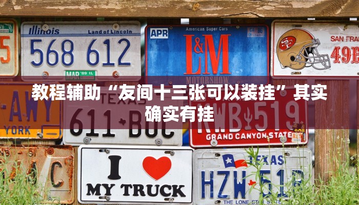 教程辅助“友间十三张可以装挂”其实确实有挂