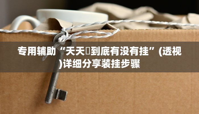 专用辅助“天天繫到底有没有挂”(透视)详细分享装挂步骤