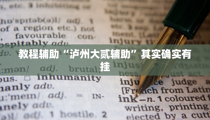 教程辅助“泸州大贰辅助”其实确实有挂