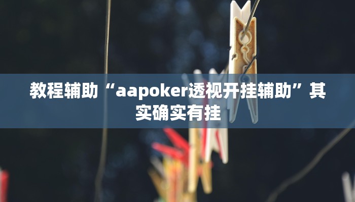 教程辅助“aapoker透视开挂辅助”其实确实有挂