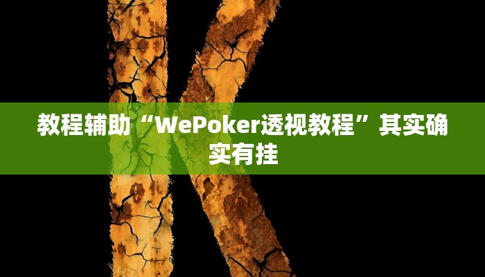 教程辅助“WePoker透视教程”其实确实有挂