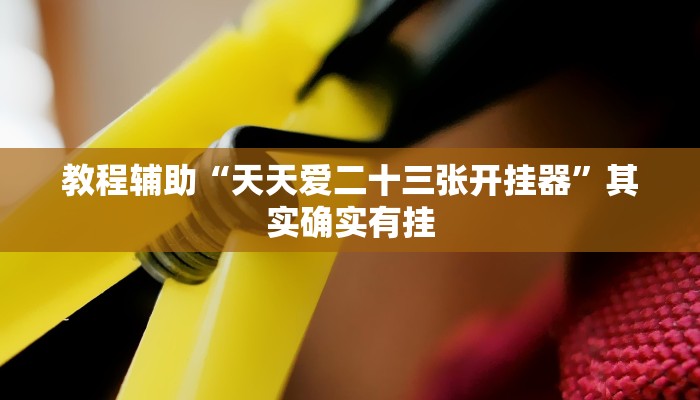 教程辅助“天天爱二十三张开挂器”其实确实有挂 教程辅助“天天爱二十三张开挂器”其实确实有挂