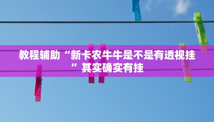 教程辅助“新卡农牛牛是不是有透视挂”其实确实有挂