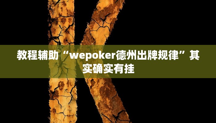 教程辅助“wepoker德州出牌规律”其实确实有挂
