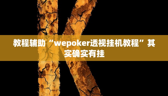 教程辅助“wepoker透视挂机教程”其实确实有挂