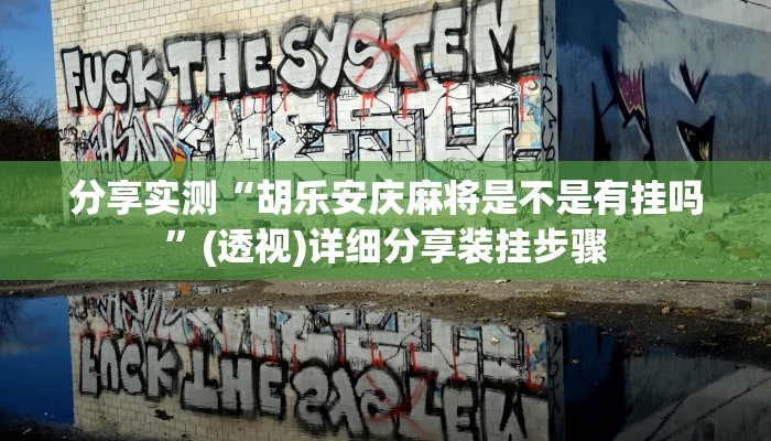 分享实测“胡乐安庆麻将是不是有挂吗”(透视)详细分享装挂步骤