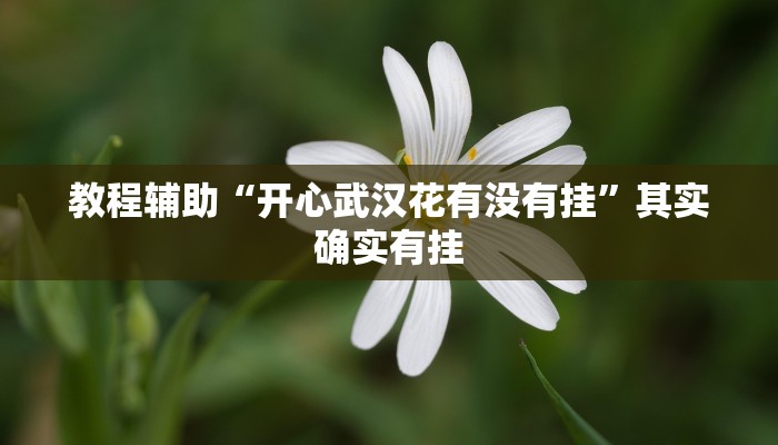 教程辅助“开心武汉花有没有挂”其实确实有挂 教程辅助“开心武汉花有没有挂”其实确实有挂